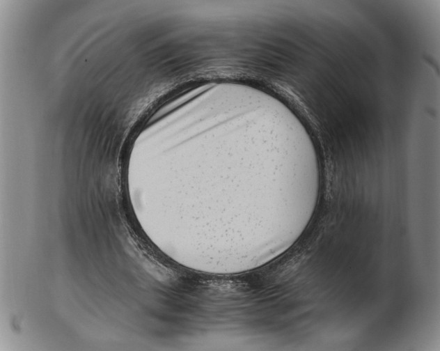 X0000102760439200809080945