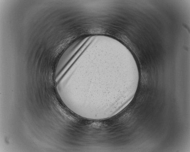 X0000102760441200809080945