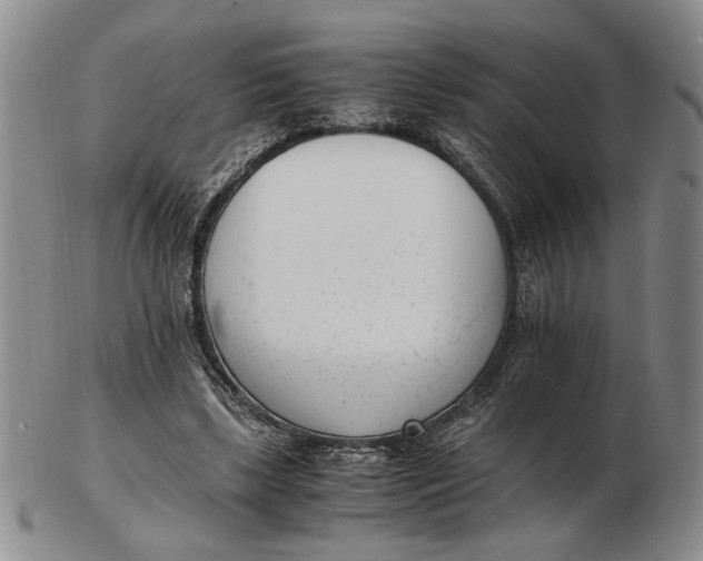 X0000102760443200809080945