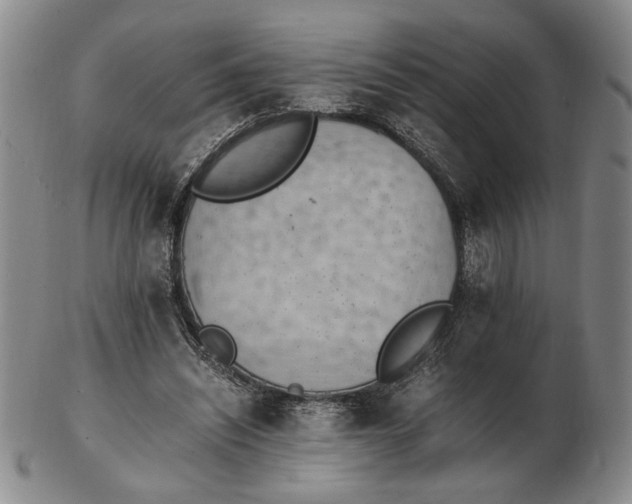 X0000102760444200809080945