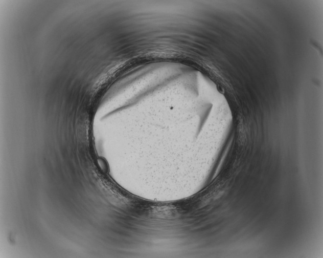 X0000102760446200809080945