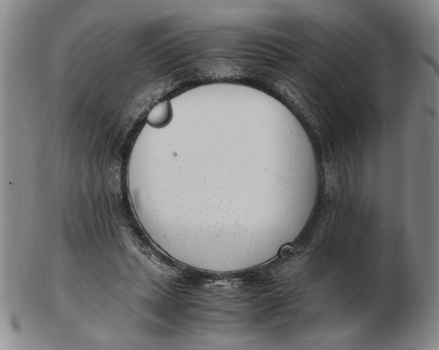 X0000102760447200809080945