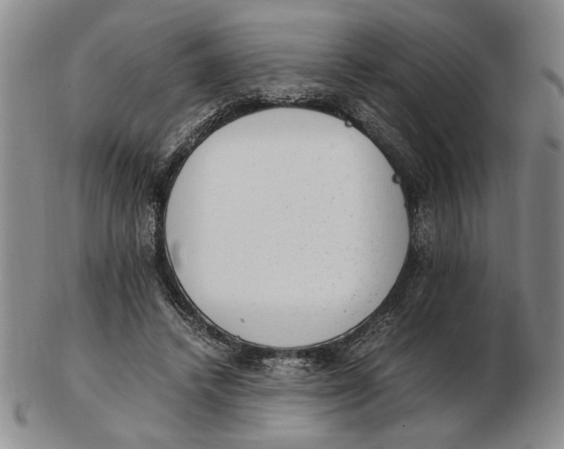 X0000102760448200809080945