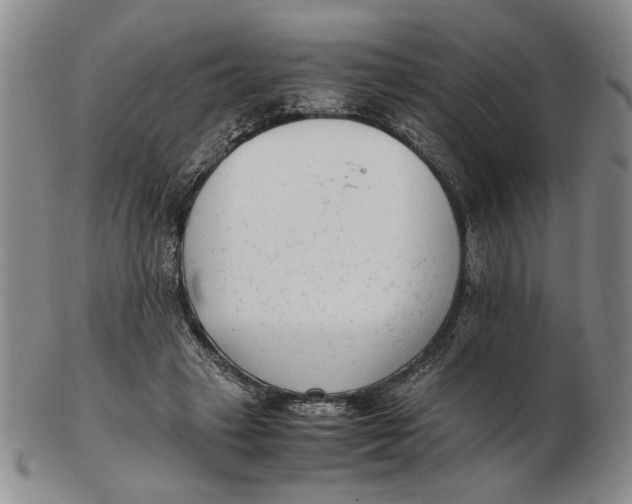 X0000102760449200809080945