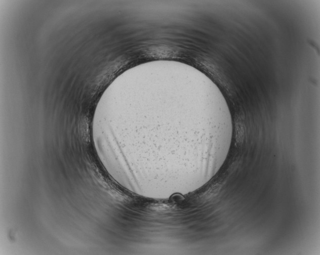 X0000102760453200809080945