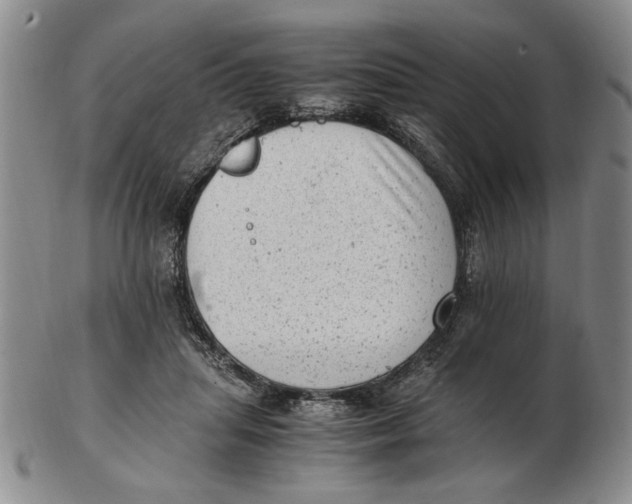 X0000102760455200809080945