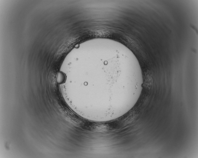 X0000102760456200809080945