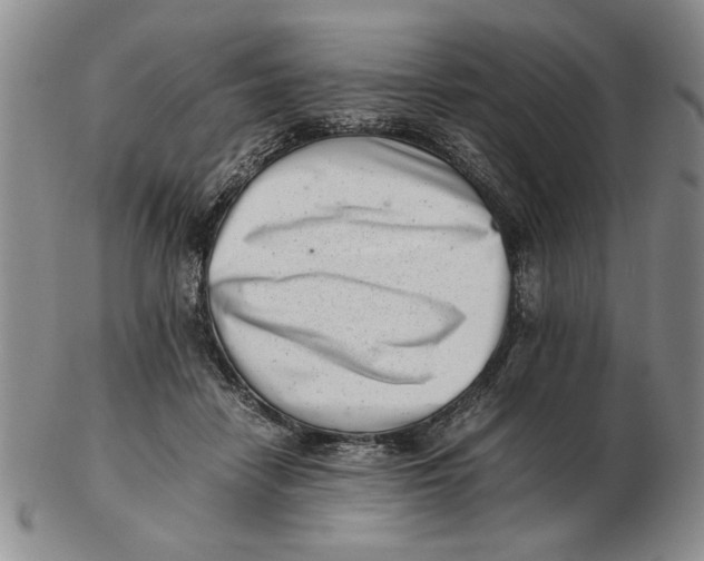 X0000102760458200809080945