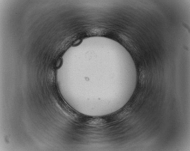 X0000102760459200809080945