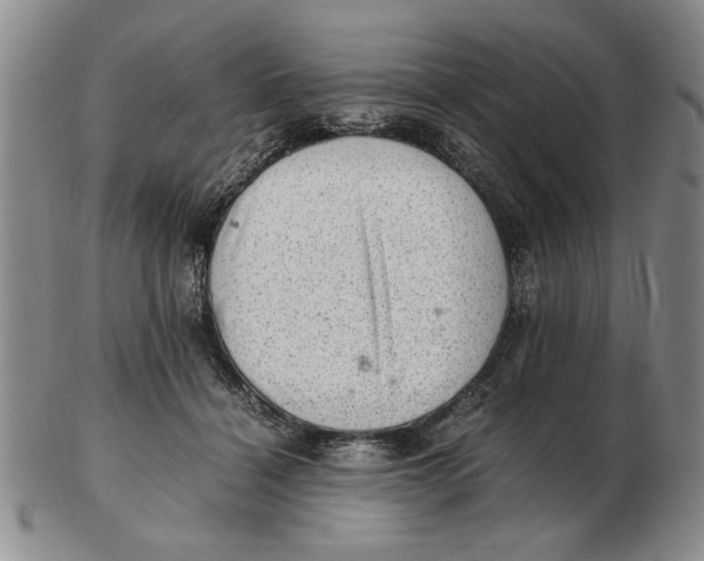 X0000102760460200809080945