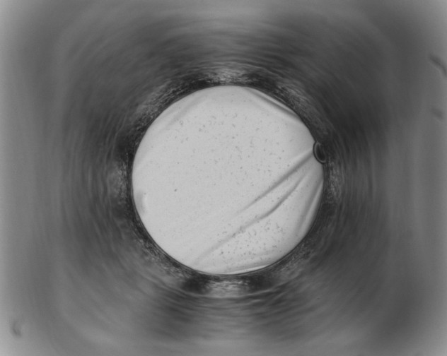 X0000102760461200809080945