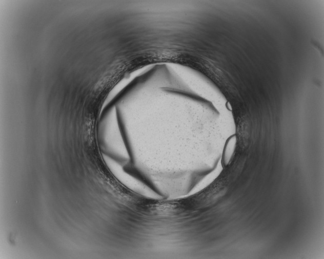 X0000102760462200809080945