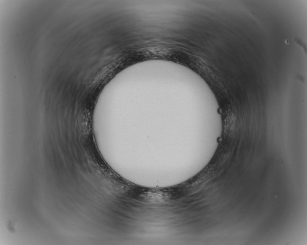 X0000102760464200809080945