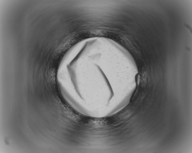 X0000102760466200809080945