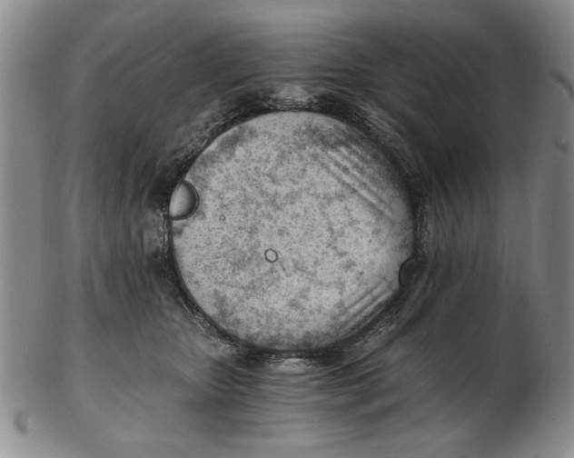 X0000102760467200809080945