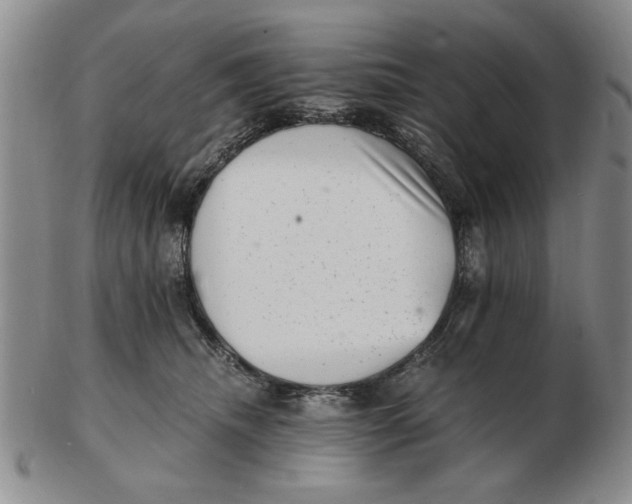 X0000102760468200809080945