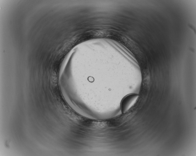 X0000102760469200809080945