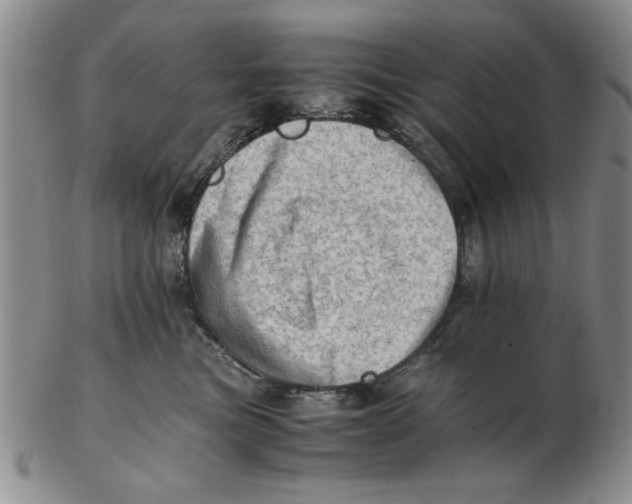 X0000102760473200809080945