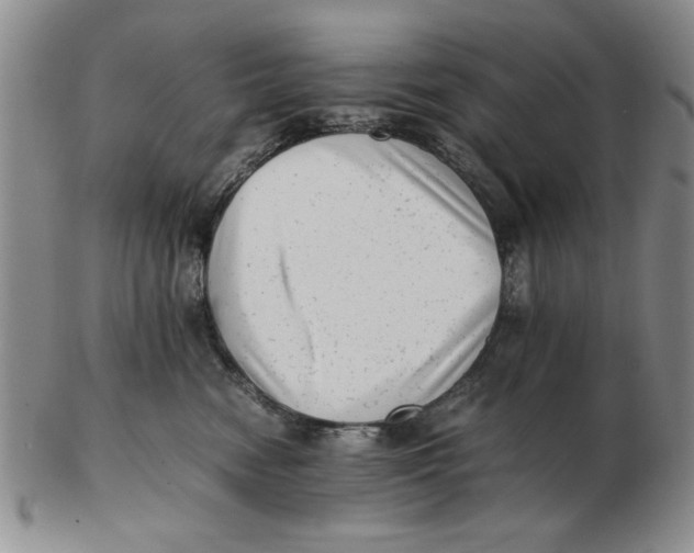 X0000102760474200809080945