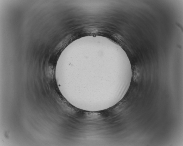 X0000102760476200809080945