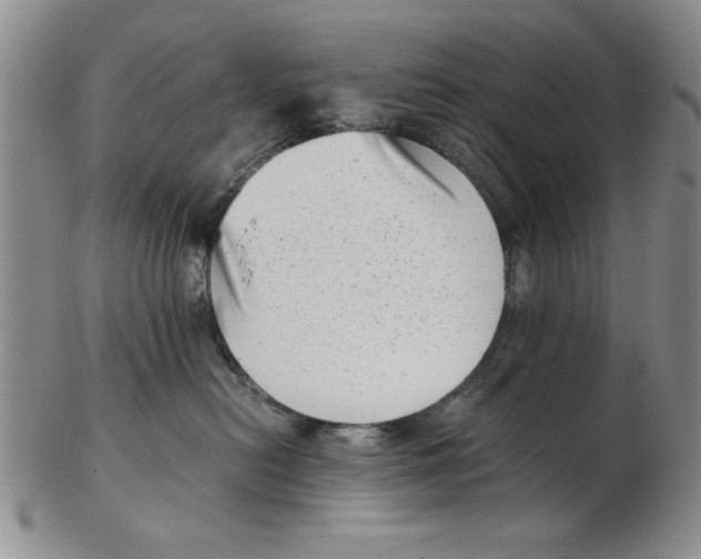 X0000102760478200809080945