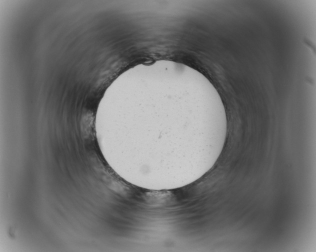 X0000102760480200809080945