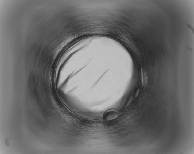 X0000102760483200809080945