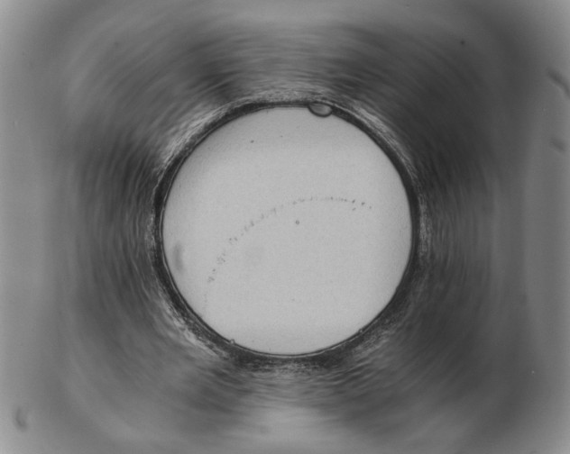 X0000102760485200809080945