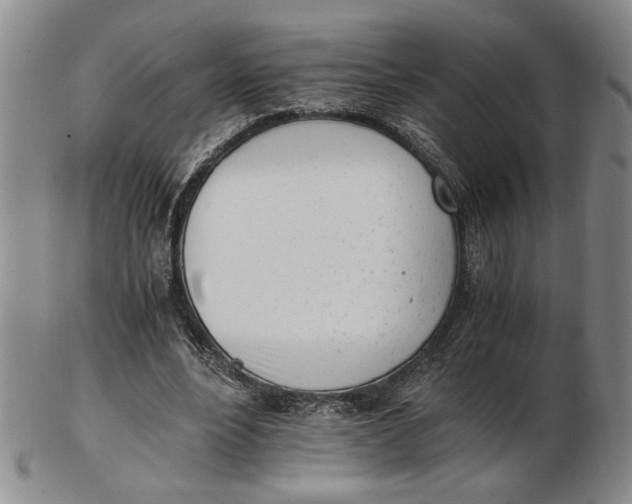 X0000102760488200809080945