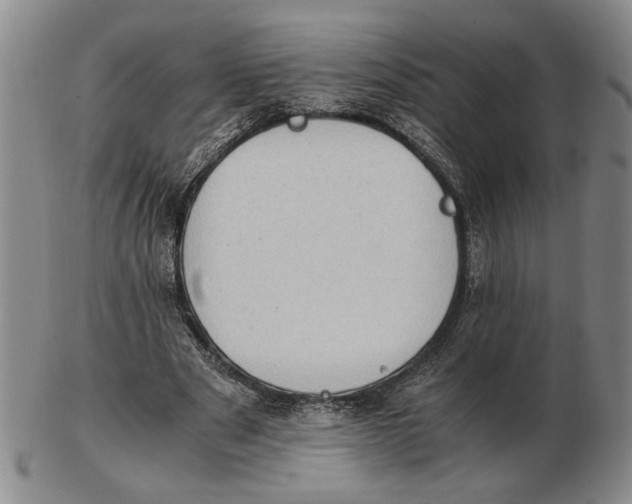 X0000102760489200809080945