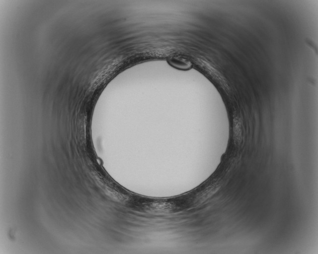 X0000102760493200809080945