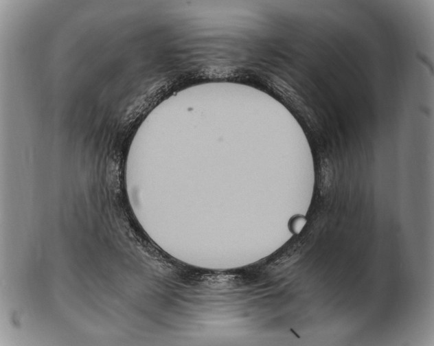 X0000102760497200809080944