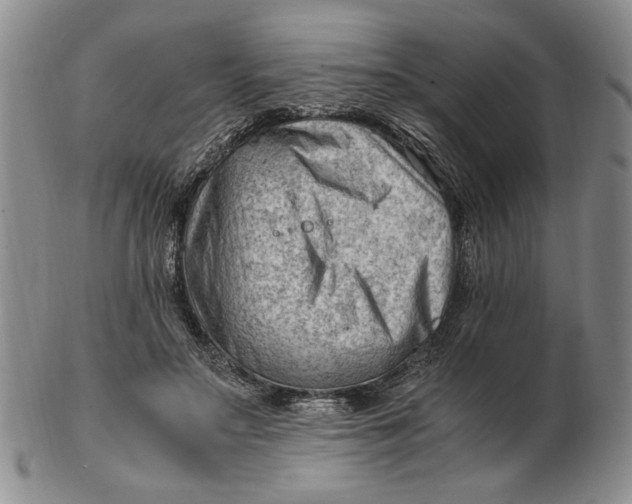 X0000102760499200809080944