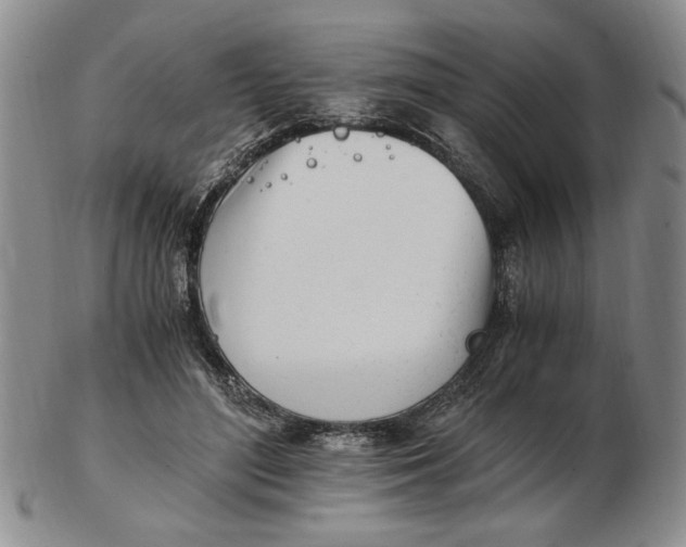 X0000102760500200809080944