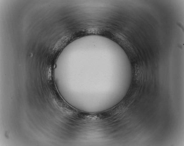 X0000102760502200809080944