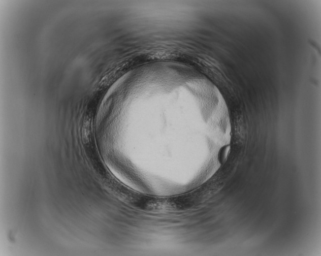 X0000102760503200809080944