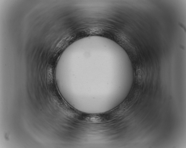 X0000102760506200809080944