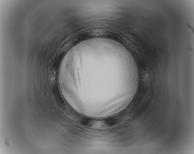 X0000102760507200809080944