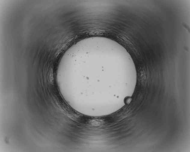 X0000102760508200809080944