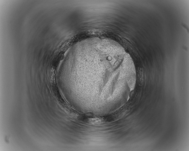 X0000102760511200809080944