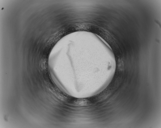 X0000102760514200809080944