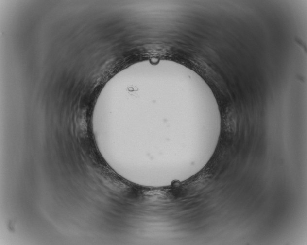 X0000102760516200809080944