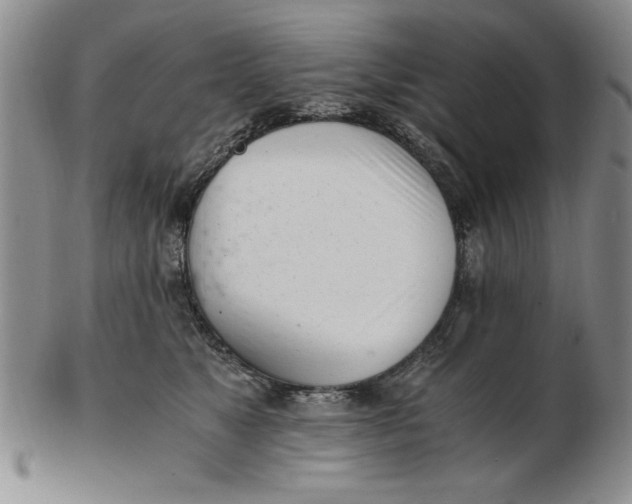 X0000102760517200809080944