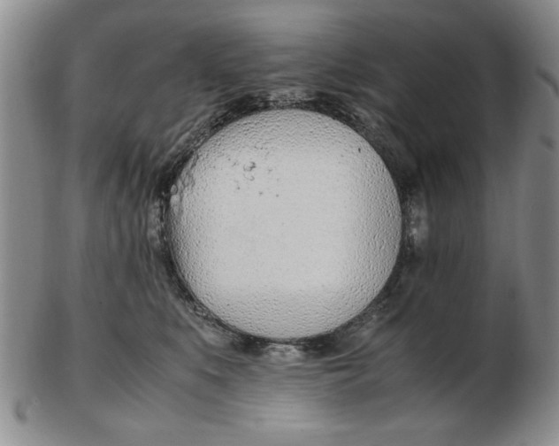 X0000102760519200809080944