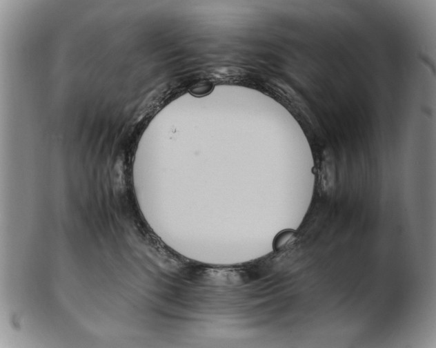 X0000102760520200809080944