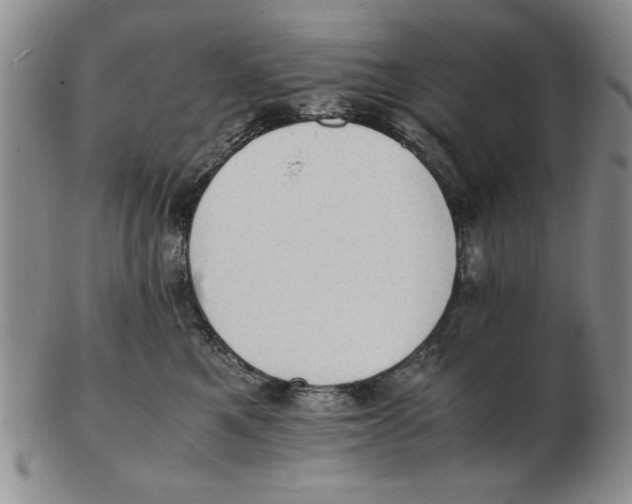 X0000102760521200809080944