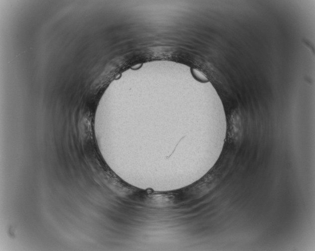 X0000102760522200809080944