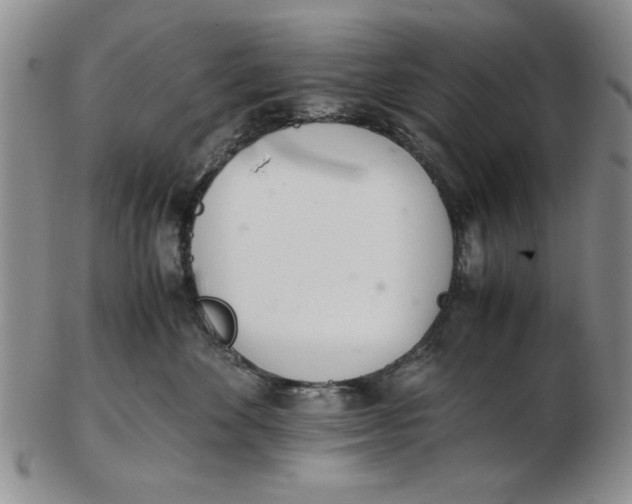 X0000102760524200809080944