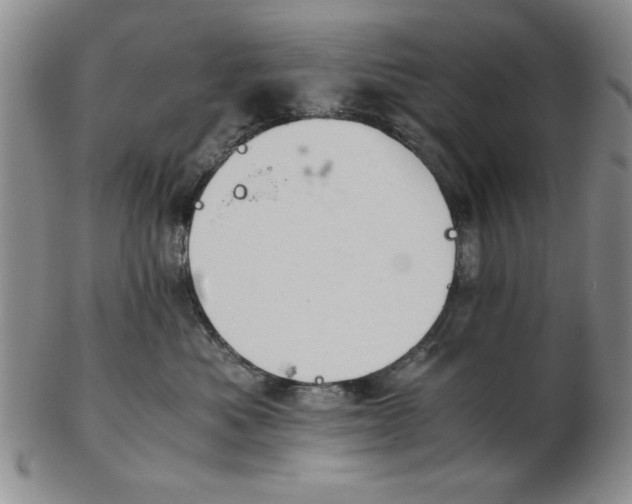 X0000102760525200809080944