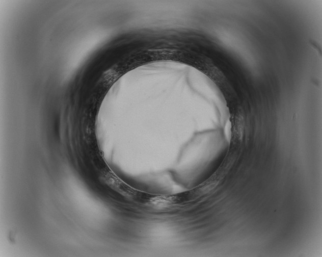 X0000102760526200809080944